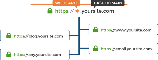 Types of SSL Certificates