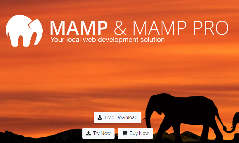 mamp server